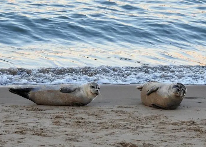 Hill4 Οστένδη